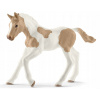 Schleich Hříbě plemene Paint Horse Schleich Hříbě plemene Paint Horse