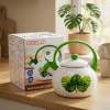 Smaltovaná kanvica ODELO AMELIO MONSTERA 2,2 l Smaltovaná kanvica ODELO AMELIO MONSTERA 2,2 l
