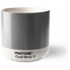 Pantone Cool Gray 9 175 ml Pantone Cool Gray 9 175 ml