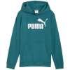 Puma ESS No.1 Logo Hoodie green 684909 41 164 cm Puma ESS No.1 Logo Hoodie green 684909 41 164 cm