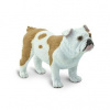 Safari Bulldog Safari Bulldog