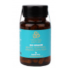 HEALING NATURE BIO Brahmi 60 kapslí HEALING NATURE BIO Brahmi 60 kapslí