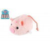 Teddies Prasiatko na natiahnutie na kľúč plast/plyš 8cm Teddies Prasiatko na natiahnutie na kľúč plast/plyš 8cm
