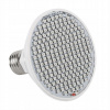 Osvetlenie pre rastliny - Zamestnaná rastúca lampa E27 24W LED rastlina (Osvetlenie pre rastliny - Zamestnaná rastúca lampa E27 24W LED rastlina) Osvetlenie pre rastliny - Zamestnaná rastúca lampa E27 24W LED rastlina (Osvetlenie pre rastliny - Zamestnaná rastúca lampa E27 24W LED rastlina)