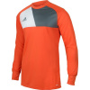 Brankársky dres adidas Assita 17 Junior AZ5398 Brankársky dres adidas Assita 17 Junior AZ5398