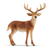 Schleich 14818 Zvieratko Jeleň Bielochvostý Schleich 14818 Zvieratko Jeleň Bielochvostý