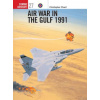 Air War in the Gulf 1991 Air War in the Gulf 1991