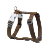 Red Dingo postroj jednofarebný 20 mm x 45-66 cm hnedý Red Dingo postroj jednofarebný 20 mm x 45-66 cm hnedý