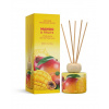 Bartek Candles Aróma difuzér Mango & Fruits s tyčinkami 100 ml Bartek Candles Aróma difuzér Mango & Fruits s tyčinkami 100 ml