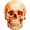 Nažehlovačka Lebka oranžová - 4,5 x 6 cm Nažehlovačka Lebka oranžová - 4,5 x 6 cm