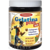 TEREZIA COMPANY s.r.o. TEREZIA Gelatina Plus želé - 1x120 ks TEREZIA COMPANY s.r.o. TEREZIA Gelatina Plus želé - 1x120 ks