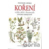 Koření a jeho užití - Dagmar Lánská Koření a jeho užití - Dagmar Lánská
