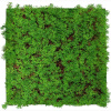JANGAL • Modural Wall - Nature Design Flora | 11105 Thuja Tea Tree JANGAL • Modural Wall - Nature Design Flora | 11105 Thuja Tea Tree