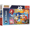 Trefl Sonic The Hedgehog Sonic v akci 60 dielov Trefl Sonic The Hedgehog Sonic v akci 60 dielov