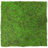 JANGAL • Modural Wall - Nature Design Flora | 11107 Forest Green Ancient Tree JANGAL • Modural Wall - Nature Design Flora | 11107 Forest Green Ancient Tree