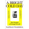 A Bright Cold Day A Bright Cold Day