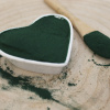 Spirulina - prach - Arthrospira platensis 50 g Spirulina - prach - Arthrospira platensis 50 g