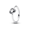 PANDORA prsten Čirý kruh věčnosti 50 192993C04-50 PANDORA prsten Čirý kruh věčnosti 50 192993C04-50