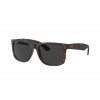 Sluneční brýle Ray-Ban Justin RB4165 865/87 POLARIZED se slevou 21 % Sluneční brýle Ray-Ban Justin RB4165 865/87 POLARIZED se slevou 21 %