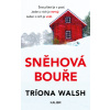Sněhová bouře Sněhová bouře