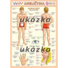 Obrázková angličtina 3 - ľudské telo Obrázková angličtina 3 - ľudské telo
