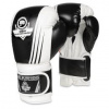 Boxerské rukavice DBX BUSHIDO B-2v3A - výber variantov -