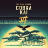 BIRENBERG, LEO & ROBINSON, ZACH - COBRA KAI (THE FINAL SEASON (3CD) BIRENBERG, LEO & ROBINSON, ZACH - COBRA KAI (THE FINAL SEASON (3CD)