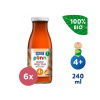 6x SALVEST Ponn BIO Šťava mrkvová s dužinou 240 ml VP-F166985 6x SALVEST Ponn BIO Šťava mrkvová s dužinou 240 ml VP-F166985