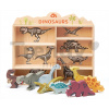 Drevené prehistorické zvieratá na poličke 8 ks Dinosaurs set Tender Leaf Toys 36*8*33 cm TL8477 Drevené prehistorické zvieratá na poličke 8 ks Dinosaurs set Tender Leaf Toys 36*8*33 cm TL8477