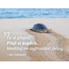 Magnet na lednici Medituj na Úspěch - Chinmoy Sri Magnet na lednici Medituj na Úspěch - Chinmoy Sri