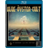 Blue Öyster Cult: 50th A… (Blue Öyster Cult) Blue Öyster Cult: 50th A… (Blue Öyster Cult)