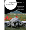 Napsáno v kameni II. - Hana Vanická Napsáno v kameni II. - Hana Vanická
