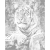 ZUTY Bodkovanie - LEŽIACI TIGER Rámovanie: vypnuté plátno na rám, Rozmer: 40x50 cm ZUTY Bodkovanie - LEŽIACI TIGER Rámovanie: vypnuté plátno na rám, Rozmer: 40x50 cm