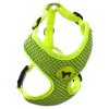 Postroj Active Dog Mellow M limetka 1,5x40-55cm Postroj Active Dog Mellow M limetka 1,5x40-55cm