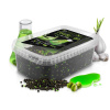 Pellet box Delphin Reaxe READY&GO / Cesnak-Butyric (Pellet box Delphin Reaxe READY&GO / Cesnak-Butyric) Pellet box Delphin Reaxe READY&GO / Cesnak-Butyric (Pellet box Delphin Reaxe READY&GO / Cesnak-Butyric)