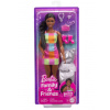 MATTEL Bábika Barbie z Brooklynu MATTEL Bábika Barbie z Brooklynu