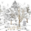 VLADILA Adrian Backyard - tapeta VLADILA Adrian Backyard - tapeta