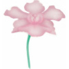 Stencil pre airbrush orchidea - Martellato Stencil pre airbrush orchidea - Martellato