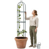 Pergola Pepita pre popínavé rastliny 200x40x40 cm – Zelená Pepita Pergola Pepita pre popínavé rastliny 200x40x40 cm – Zelená Pepita