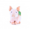 Rappa Plyšové prasa Rappa Plyšové prasa