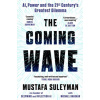 The Coming Wave The Coming Wave