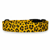 Designový obojek pro psy LEOPARD ŠÍŘKA: 15 MM, Velikost: S Designový obojek pro psy LEOPARD ŠÍŘKA: 15 MM, Velikost: S