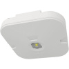 LED núdzové svietidlo Panlux CORDELIA OPEN AREA 3W LED núdzové svietidlo Panlux CORDELIA OPEN AREA 3W