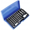 Vytahováky poškodených skrutiek TORX 1/4” a 1/2”, sada 12 dielov - ASTA A-T12ES Vytahováky poškodených skrutiek TORX 1/4” a 1/2”, sada 12 dielov - ASTA A-T12ES