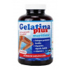 Gelatina Plus maritime 360cps Gelatina Plus maritime 360cps