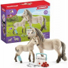 Schleich Súprava prvej pomoci Horse Club Hannah Schleich Súprava prvej pomoci Horse Club Hannah