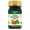 VitaHarmony Giga brusinky akut 30 tablet VitaHarmony Giga brusinky akut 30 tablet
