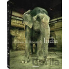 India - Andreas H. Bitesnich India - Andreas H. Bitesnich