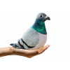 LEAN TOYS Plyšový maskot sivého holuba lesného 20 cm LEAN TOYS Plyšový maskot sivého holuba lesného 20 cm