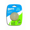 Chuckit! Max Glow Ball Small 5 cm 1 ks Chuckit! Max Glow Ball Small 5 cm 1 ks